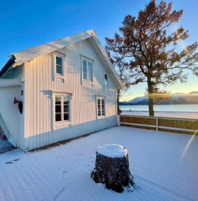 Nordland House-Breathtaking View-Central Location